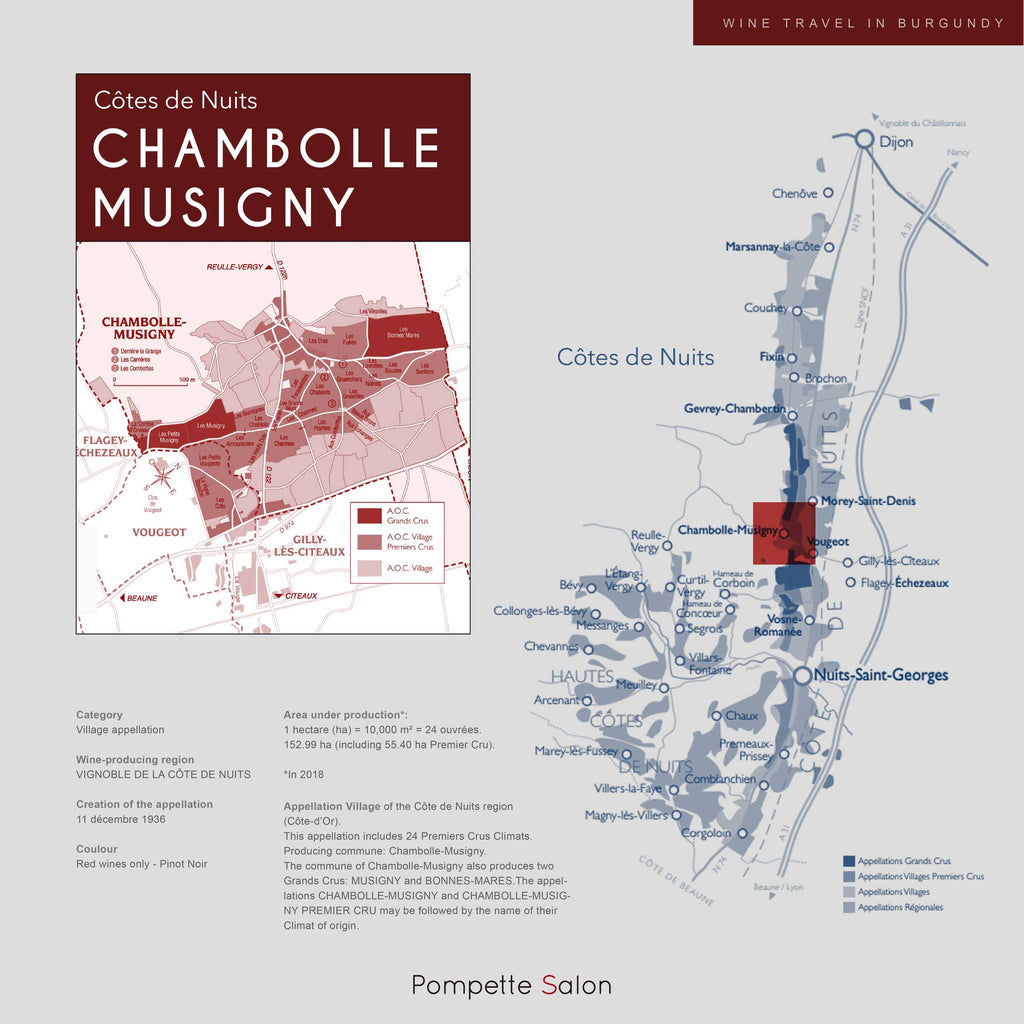 優雅溫婉的絕美風土—Chambolle-Musigny （上）