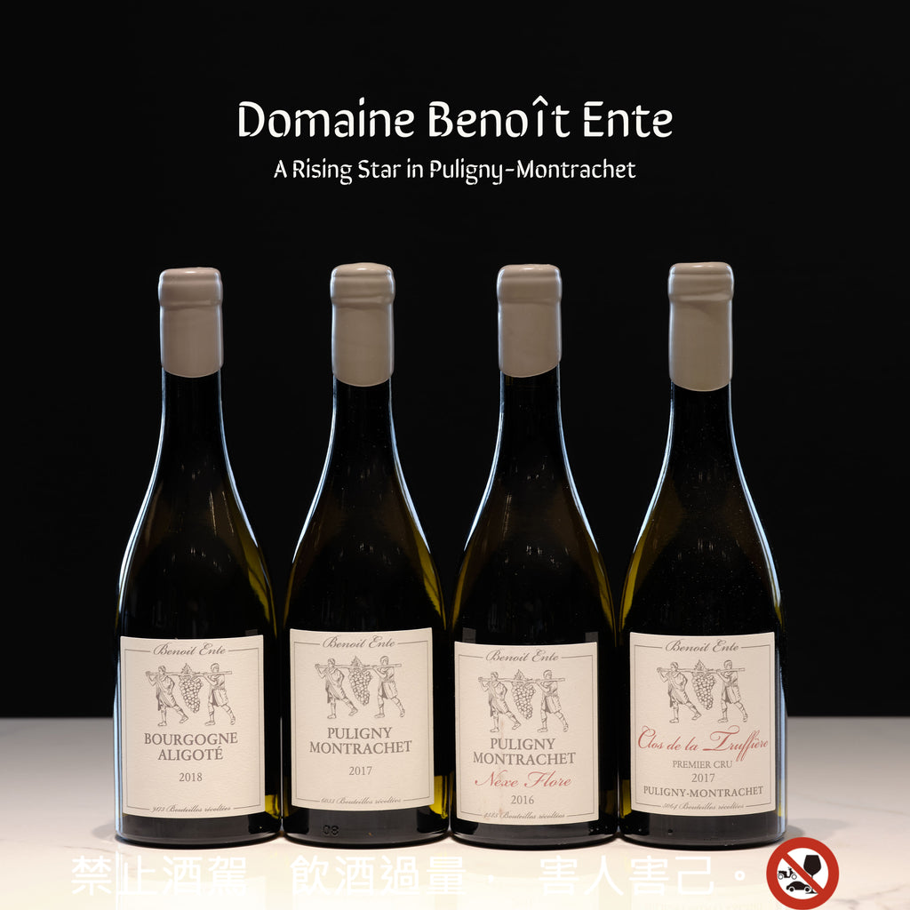 Puligny-Montrachet的釀酒之星-Domaine Benoit Ente