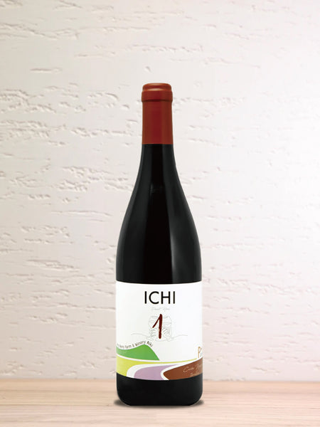 2023 ICHI-P (Pinot Noir) – Pompette Salon & Wine Merchant