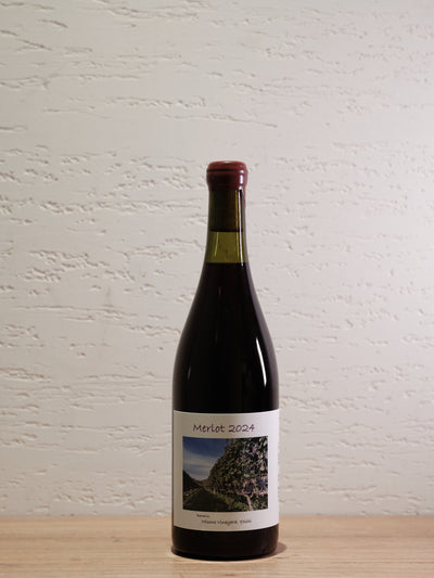 2024 Merlot